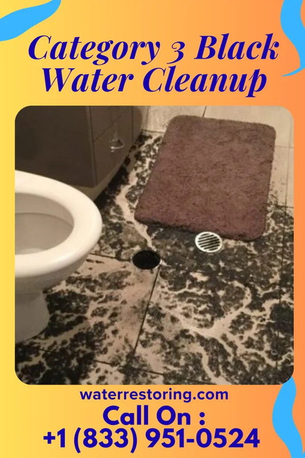 Category 3 Black Water Cleanup in Willmar, MN