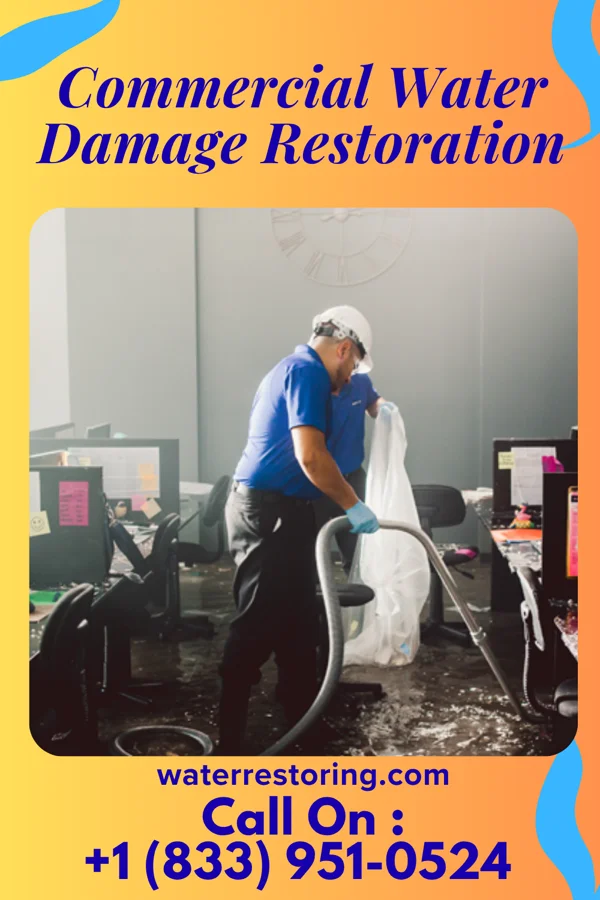 Commercial Water Damage Restoration in Willmar, MN