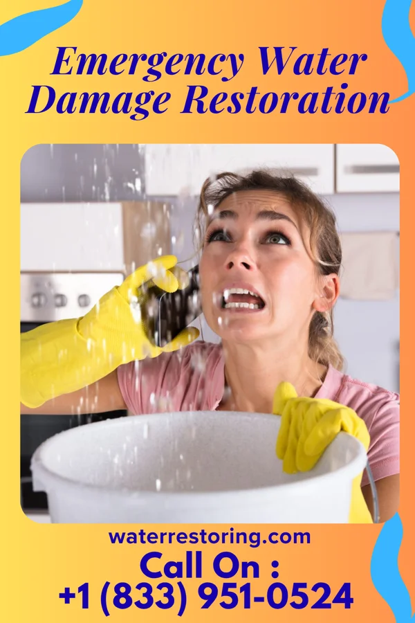 Emergency Water Damage Restoration in Willmar, MN
