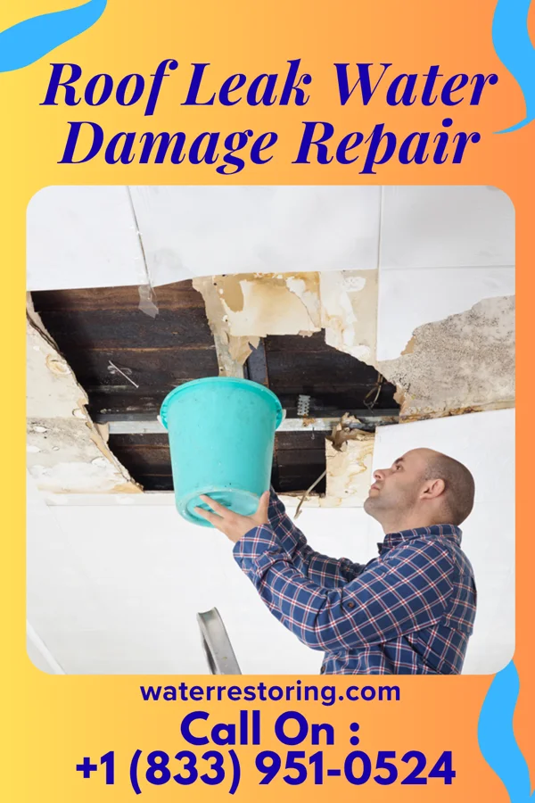 Roof Leak Water Damage Repair in Willmar, MN